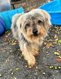 CHARIE 2 - Photo 3