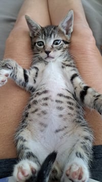 jaspurr - Photo 4