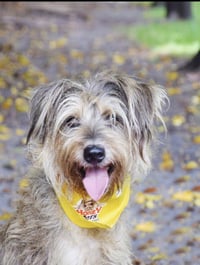 MARTIN - Photo 1