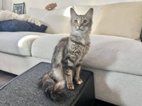 LUNA - Photo 14