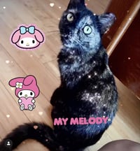 Melody - Photo 1