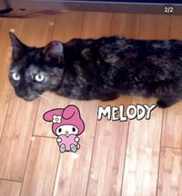 Melody - Photo 3