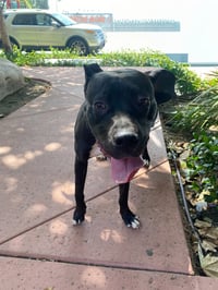 Lucy - Photo 3