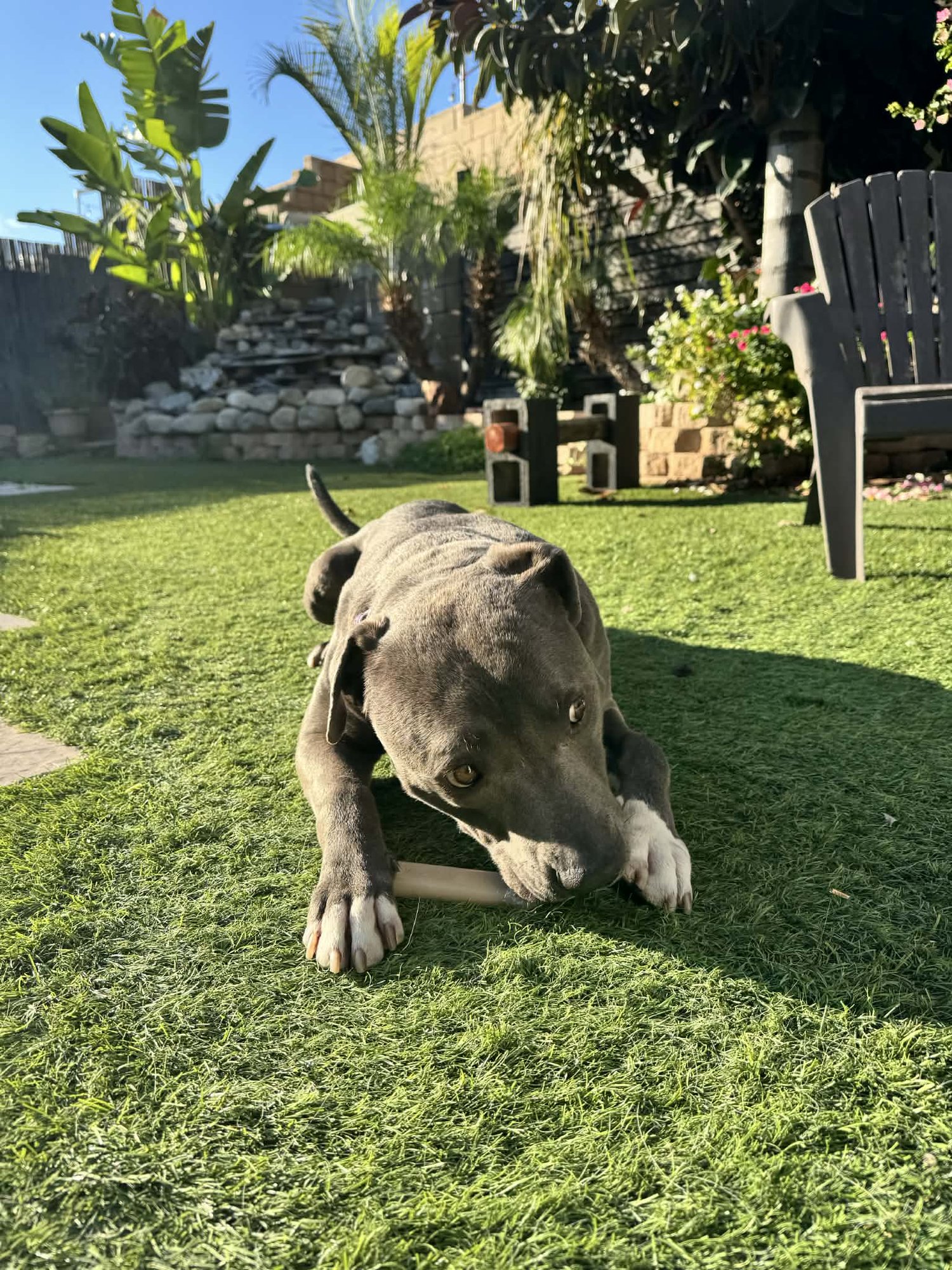 Jack Frost - Photo 3