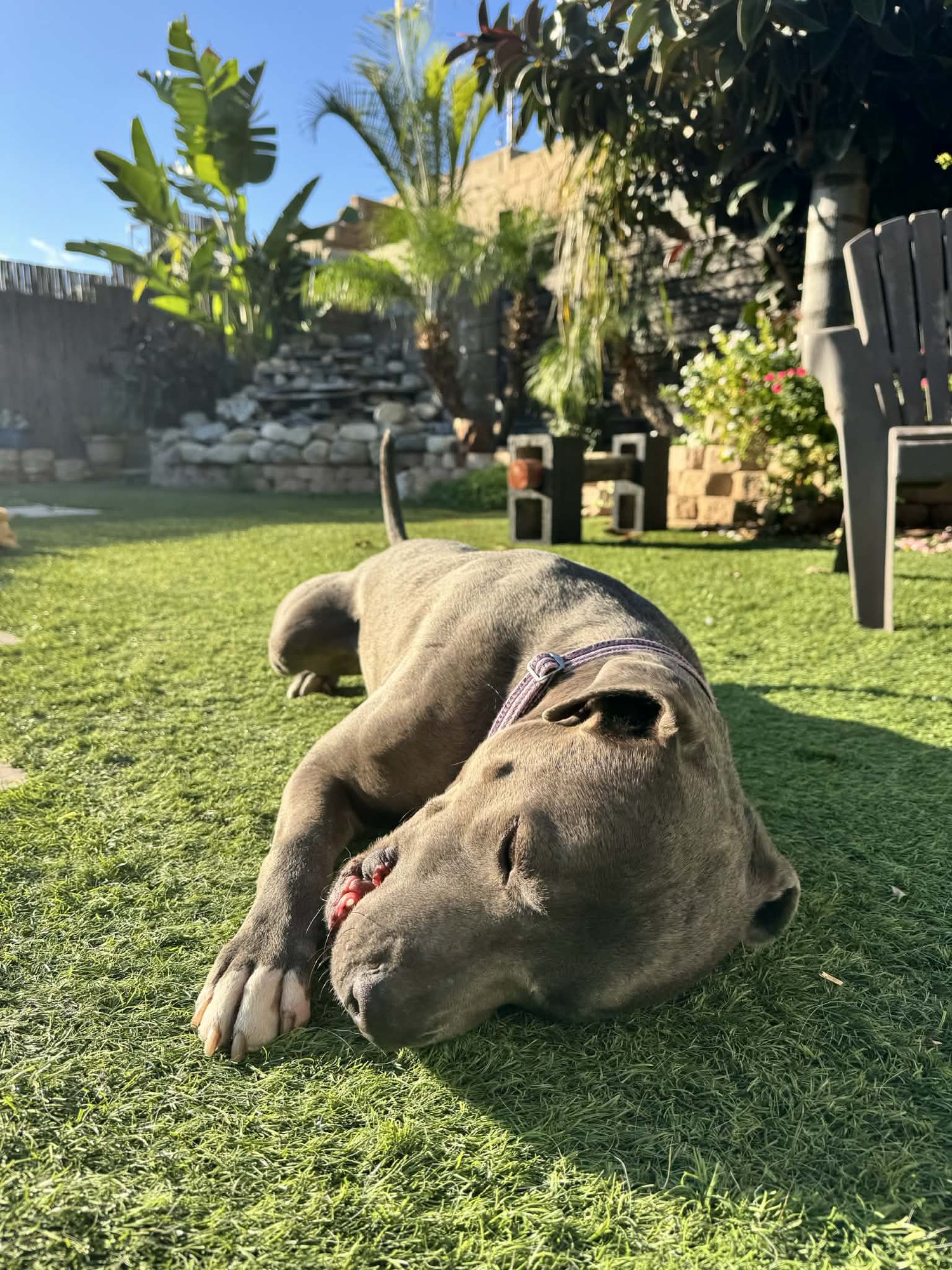 Jack Frost - Photo 4