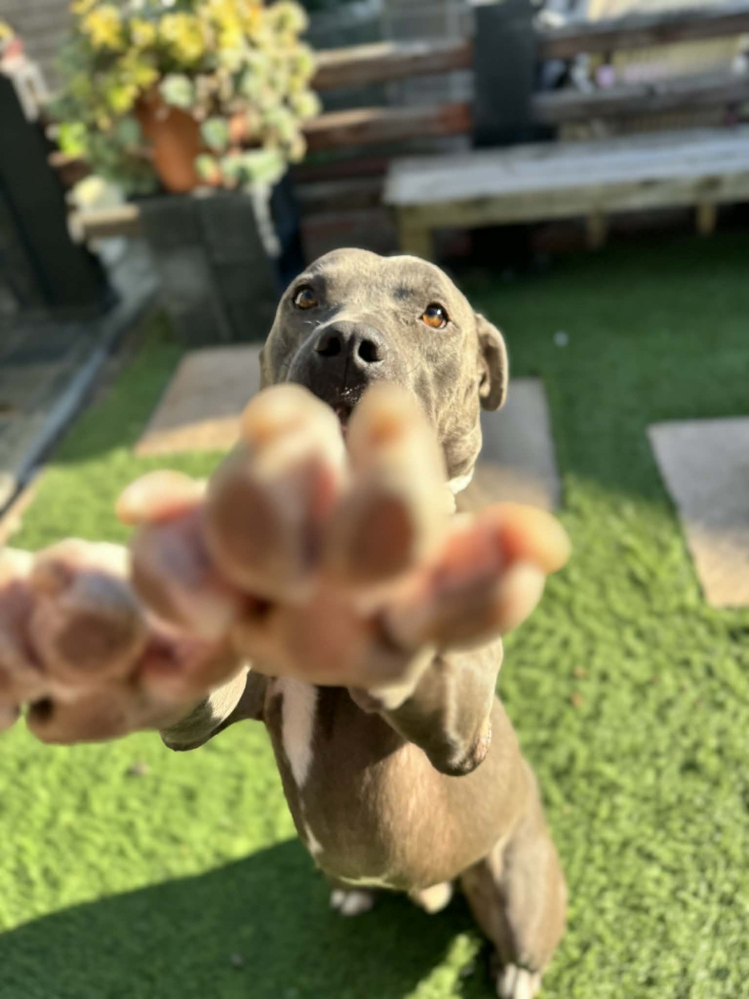 Jack Frost - Photo 6