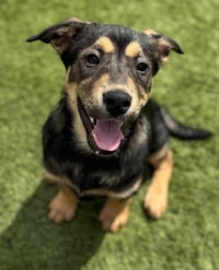 Zuko - Photo 6