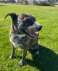 Eliza - Photo 3