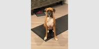 Dutchess II - ABR Return - Photo 1
