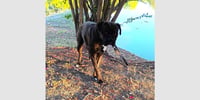 Chato II - Photo 1