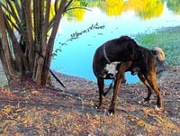 Chato II - Photo 2
