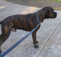 Chato II - Photo 3