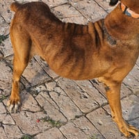 Celsius - Photo 3