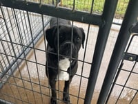 Winnie II - Photo 3