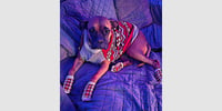Linus - Photo 1