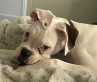 Oaklee - Photo 3