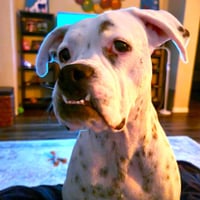 Luna XIII - Photo 3