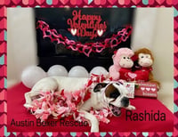 Rashida - Photo 2