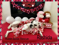 Rashida - Photo 3