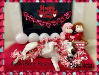 Rashida - Photo 4