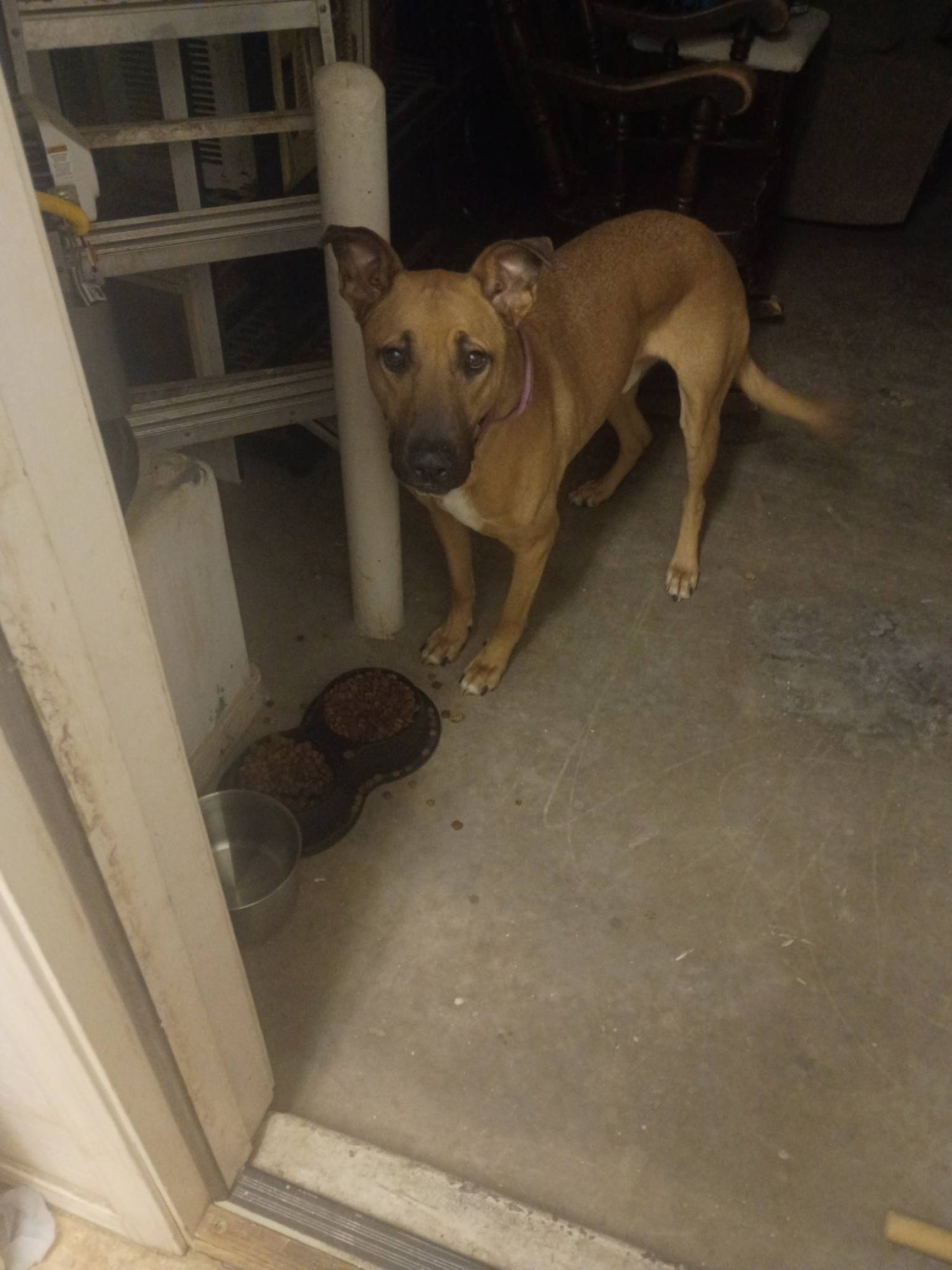 Ine (Courtesy post) - Photo 3