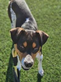 Avery - Photo 1