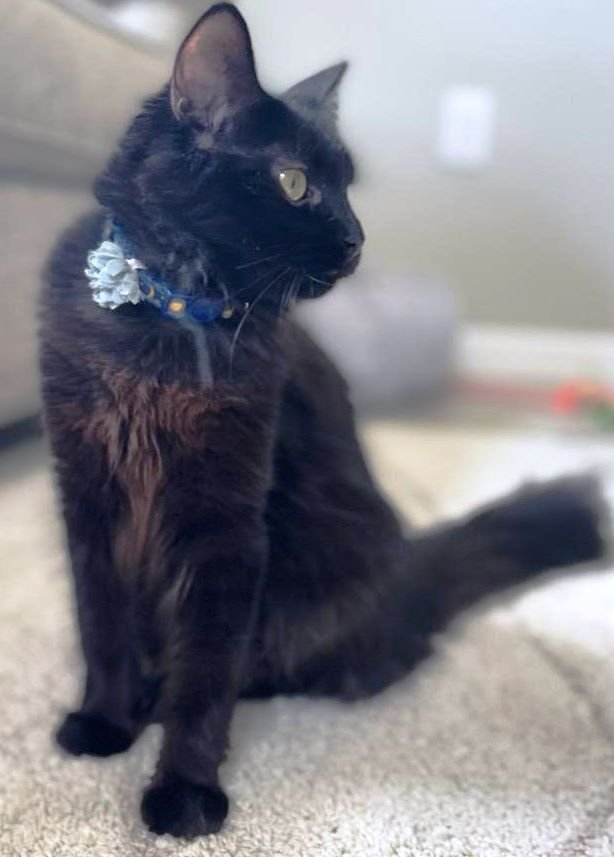 Soichi Noguchi (Bonded with Shannon Walker) - Photo 3