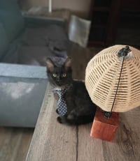 Oliver [CP] - Photo 2