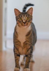 Gretchen - Photo 6