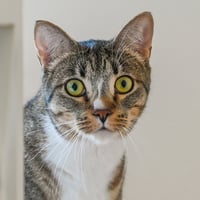 Gretchen - Photo 3