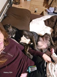 Princess (Courtesy Post) - Photo 4