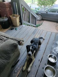 Patches (Courtesy Post) - Photo 3