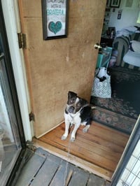 Patches (Courtesy Post) - Photo 2