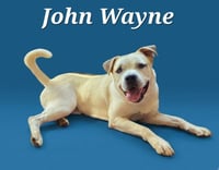 John Wayne - Photo 3