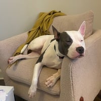 Pinky (Courtesy Post) - Photo 2