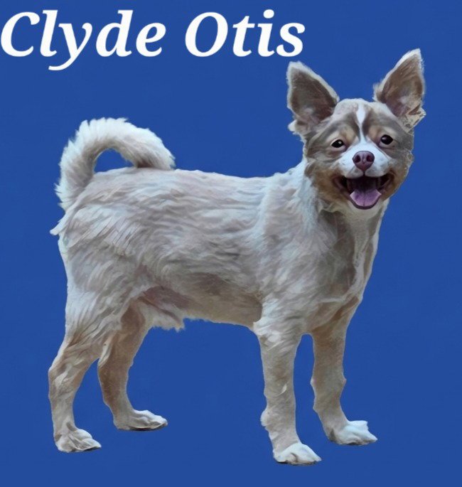 Clyde Image