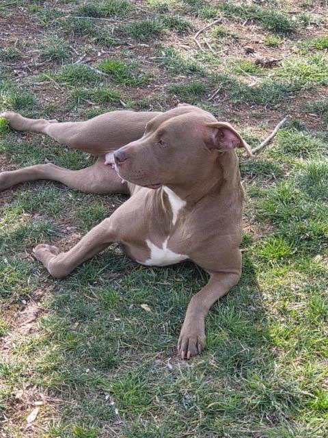 Lola (Courtesy Post) Image