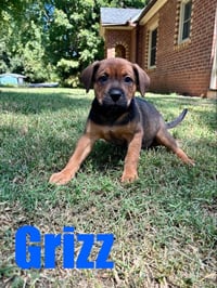 Grizz/Wesley - Photo 3
