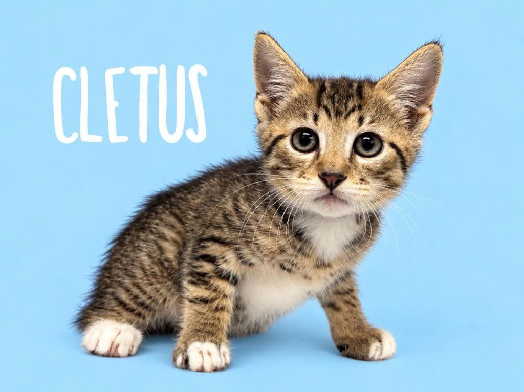 Cletus Image