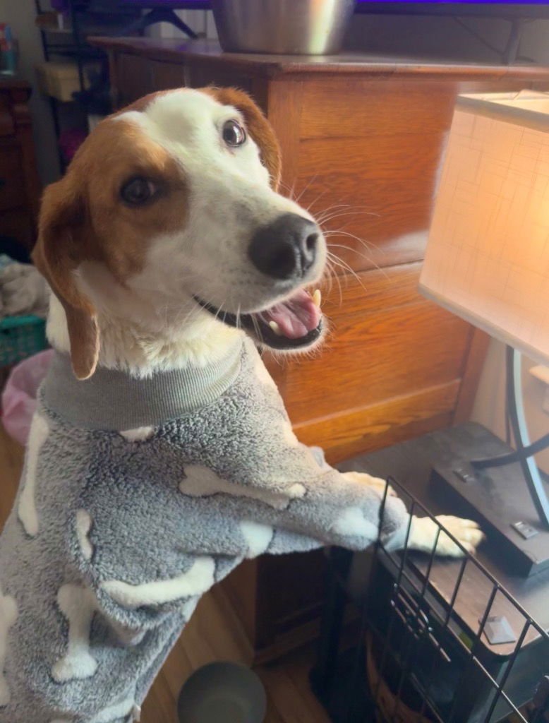 Pecan (Courtesy Post) - Photo 3