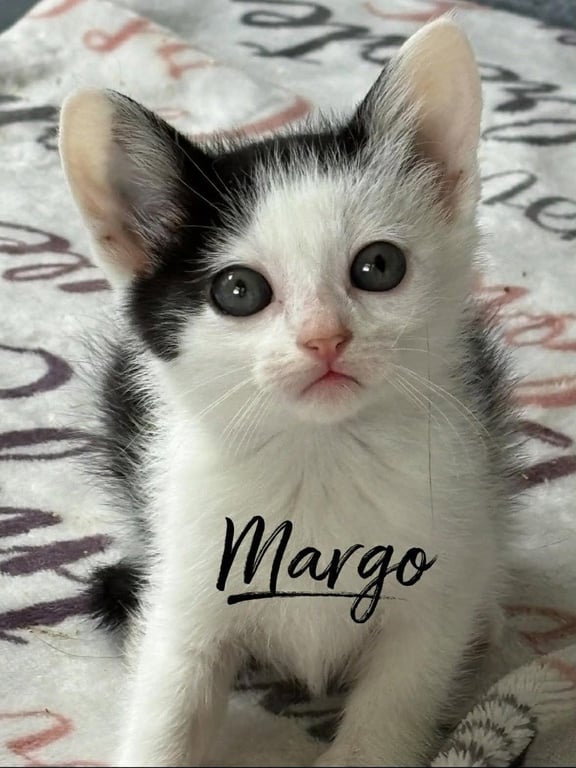 Margo Image