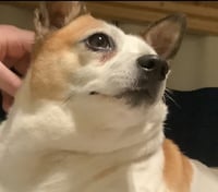 Popcorn (Courtesy Post) - Photo 3