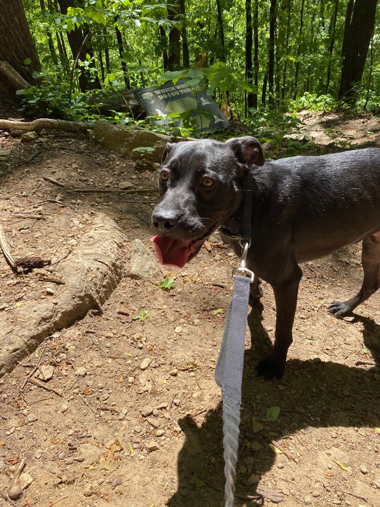 Benny (Courtesy Post) - Photo 3