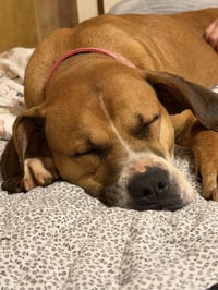 Nyla (Courtesy Post) - Photo 1