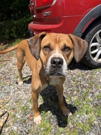 Nyla (Courtesy Post) - Photo 2