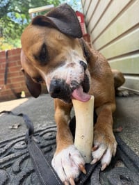 Nyla (Courtesy Post) - Photo 3