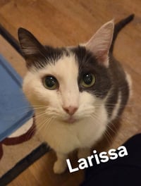 Larissa - Photo 3