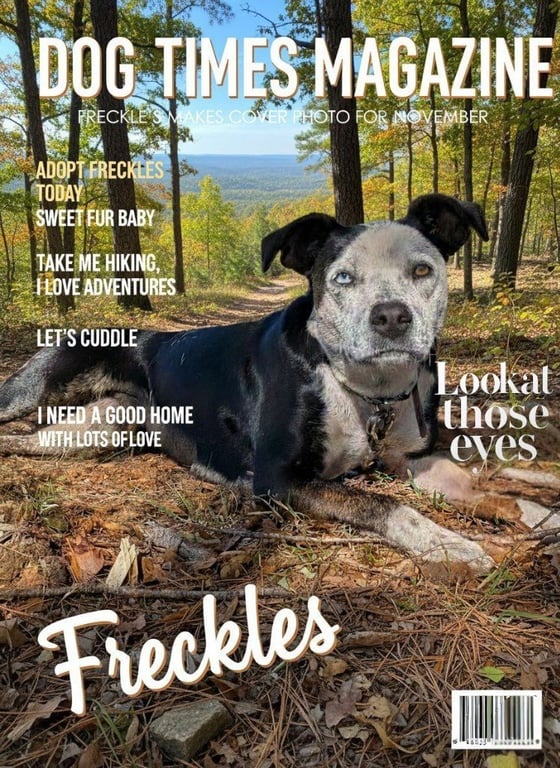 Freckles (Courtesy Post) Image