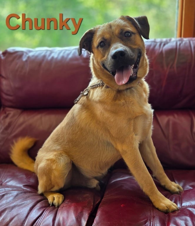 Chunky Image