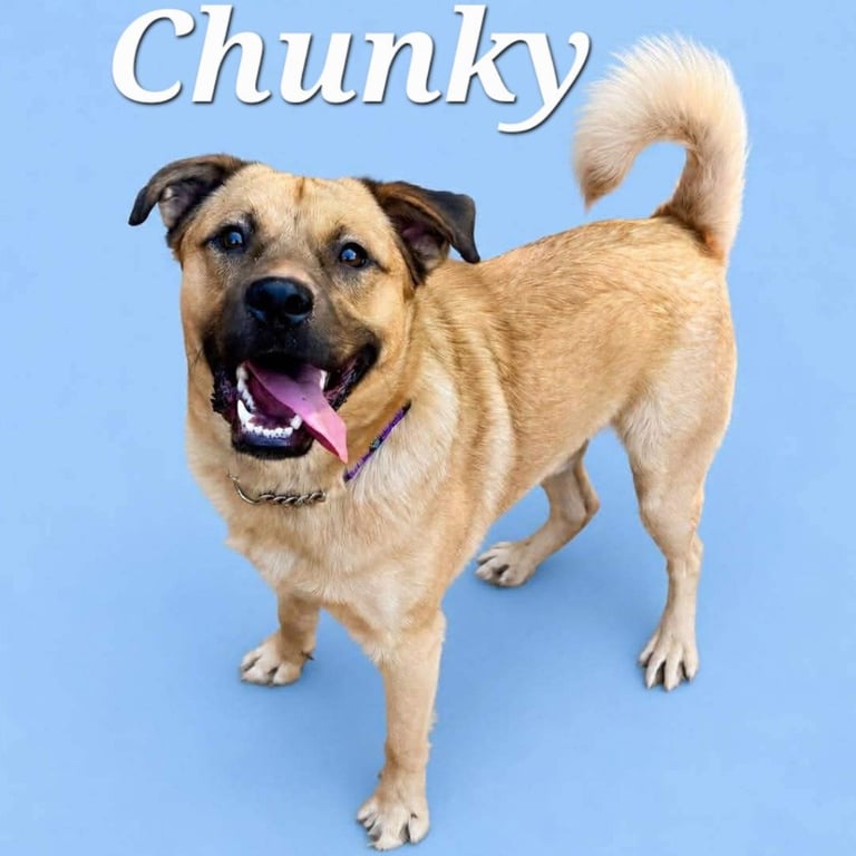Chunky Image